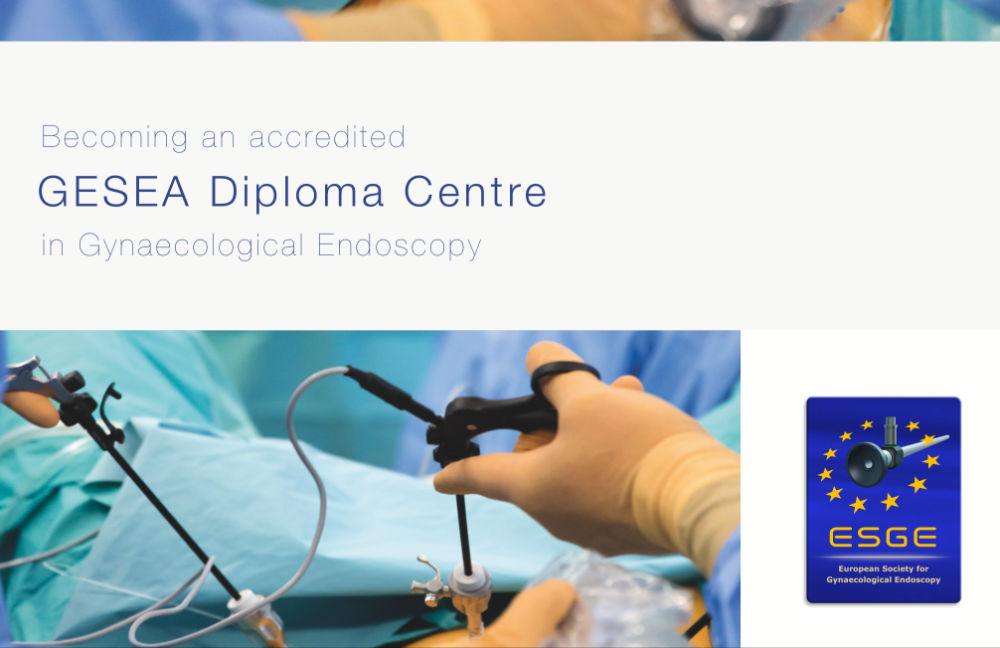 becoming-gesea-diploma-centre