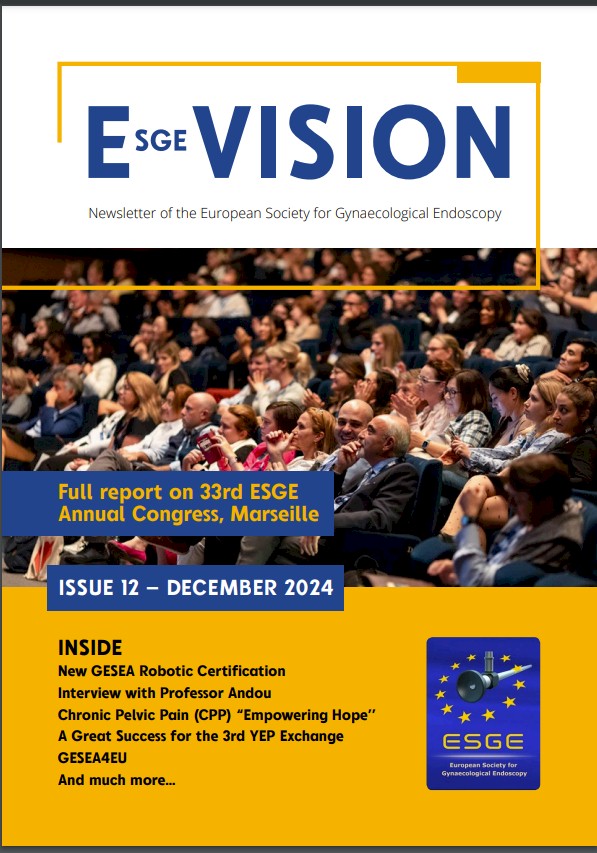 gesea4eu_news_dec2024